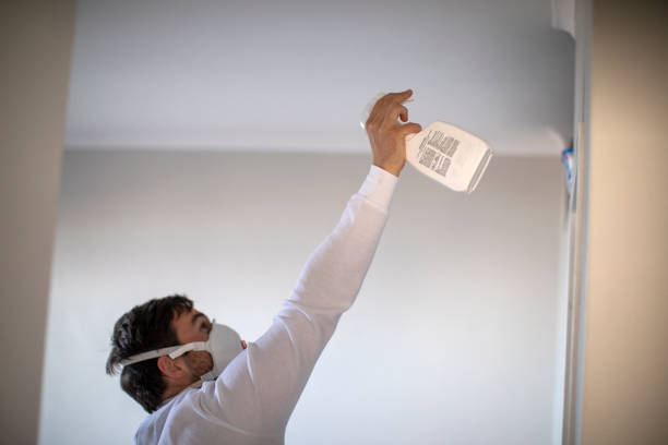 Best Mold Remediation  in Monterey, CA