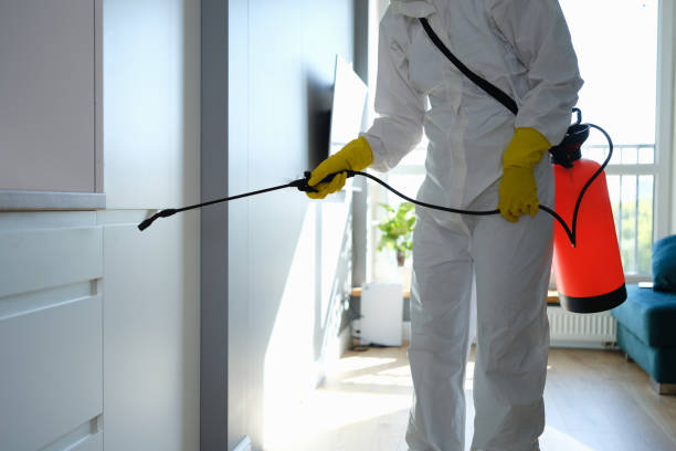 Best Mold Testing  in Monterey, CA