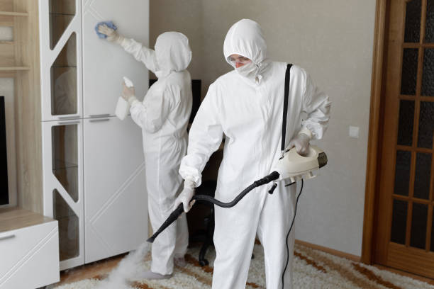 Best Attic Mold Removal  in Monterey, CA
